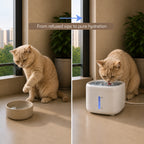 StillSpring Fountain | Pet Water Fountain for Cats & Small Dogs | Quiet Flow Hydration System