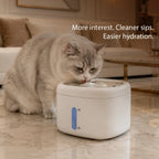 StillSpring Fountain | Pet Water Fountain for Cats & Small Dogs | Quiet Flow Hydration System