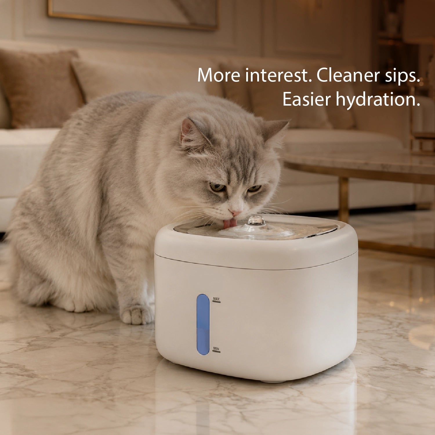 StillSpring Fountain | Pet Water Fountain for Cats & Small Dogs | Quiet Flow Hydration System