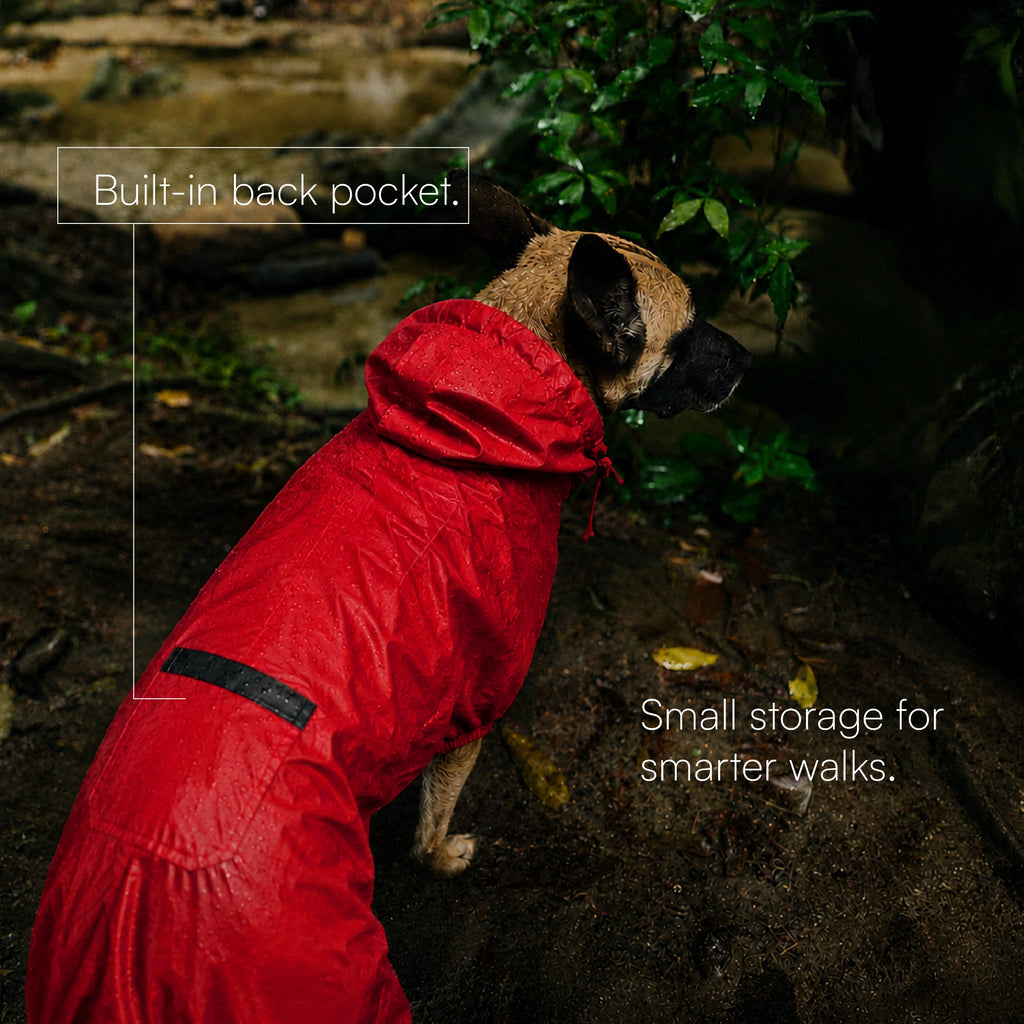 StormGuard Jacket | Dog Raincoat | For Breezy Walks in Rainy Weather