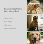 Summer Grooming Relief Kit | Clean, Condition & Brush