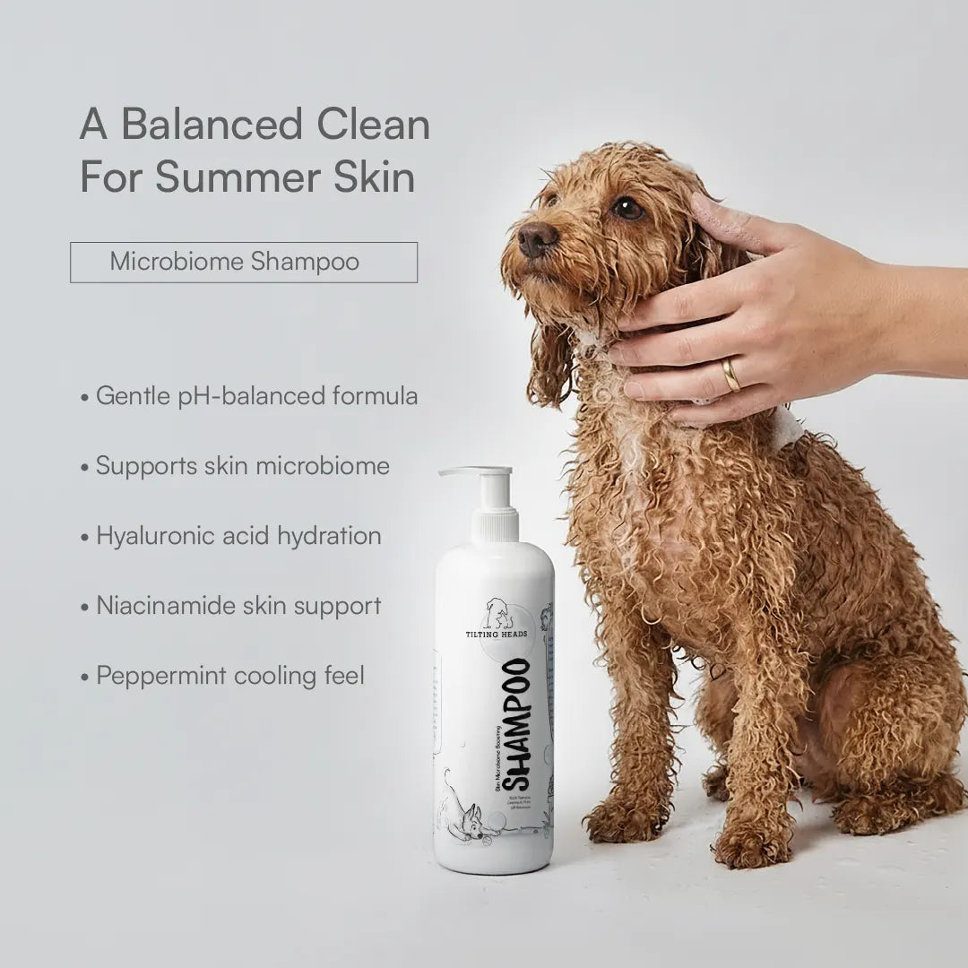 Summer Grooming Relief Kit | Clean, Condition & Brush