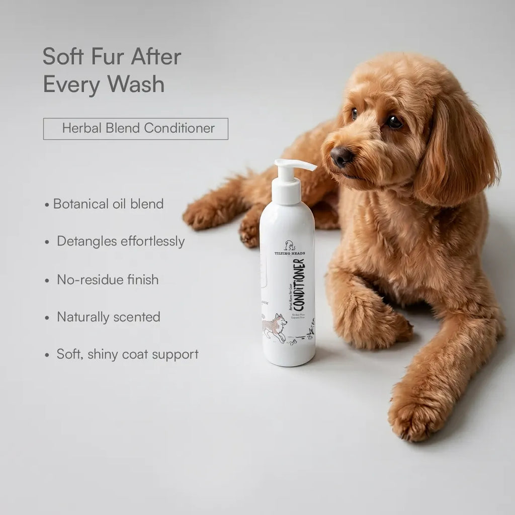 Summer Grooming Relief Kit | Clean, Condition & Brush