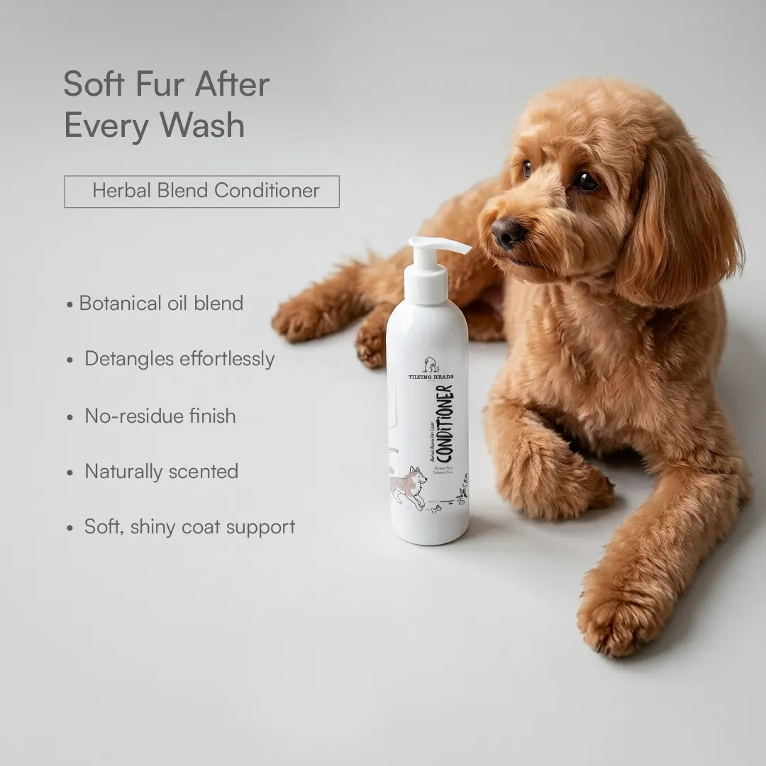 Summer Grooming Relief Kit | Clean, Condition & Brush