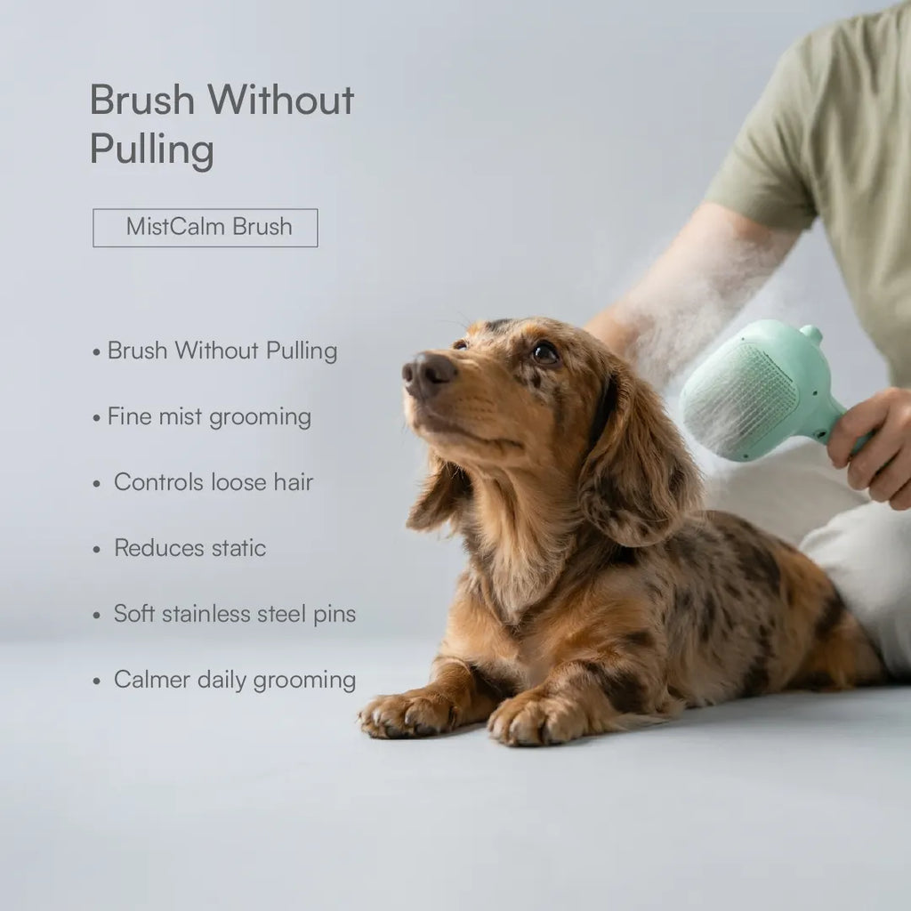 Summer Grooming Relief Kit | Clean, Condition & Brush