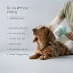 Summer Grooming Relief Kit | Clean, Condition & Brush