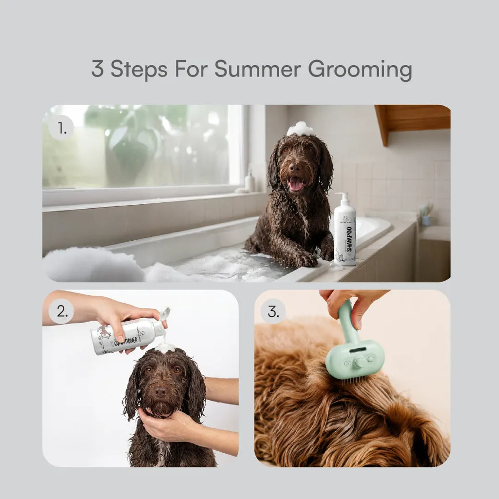 Summer Grooming Relief Kit | Clean, Condition & Brush