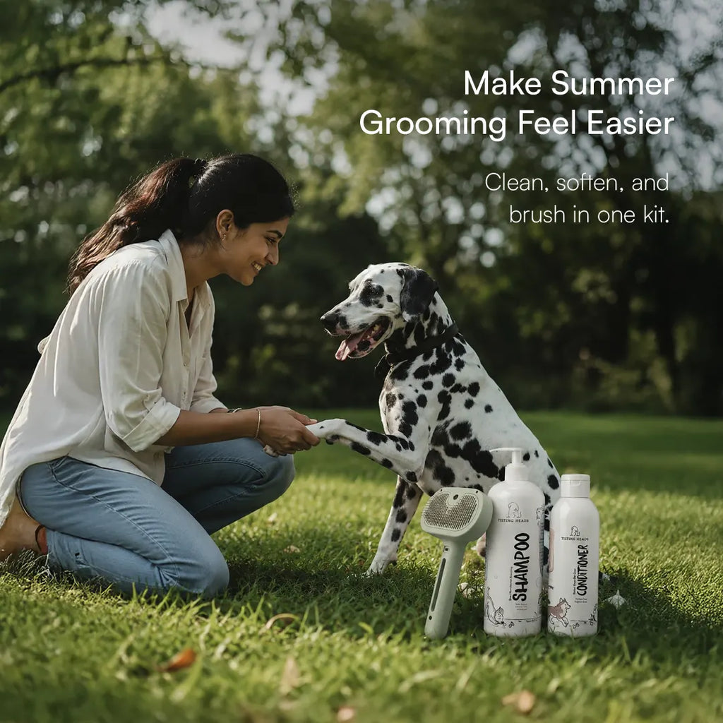 Summer Grooming Relief Kit | Clean, Condition & Brush