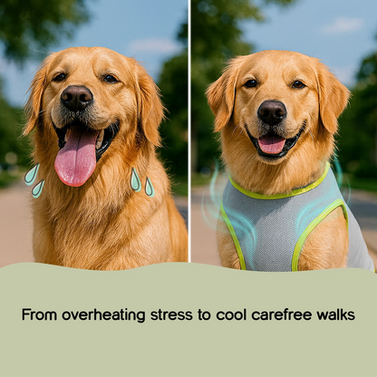 SummerGuard Cooling Vest: Cool Comfort for Hot Days