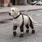 Black dog paw suspender boots on a white dog standing outdoors
