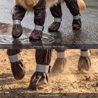 Pet paw suspender boots in dark fabric with elastic gray cuff bands