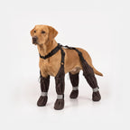 Pawveralls Pro Suspender Boots