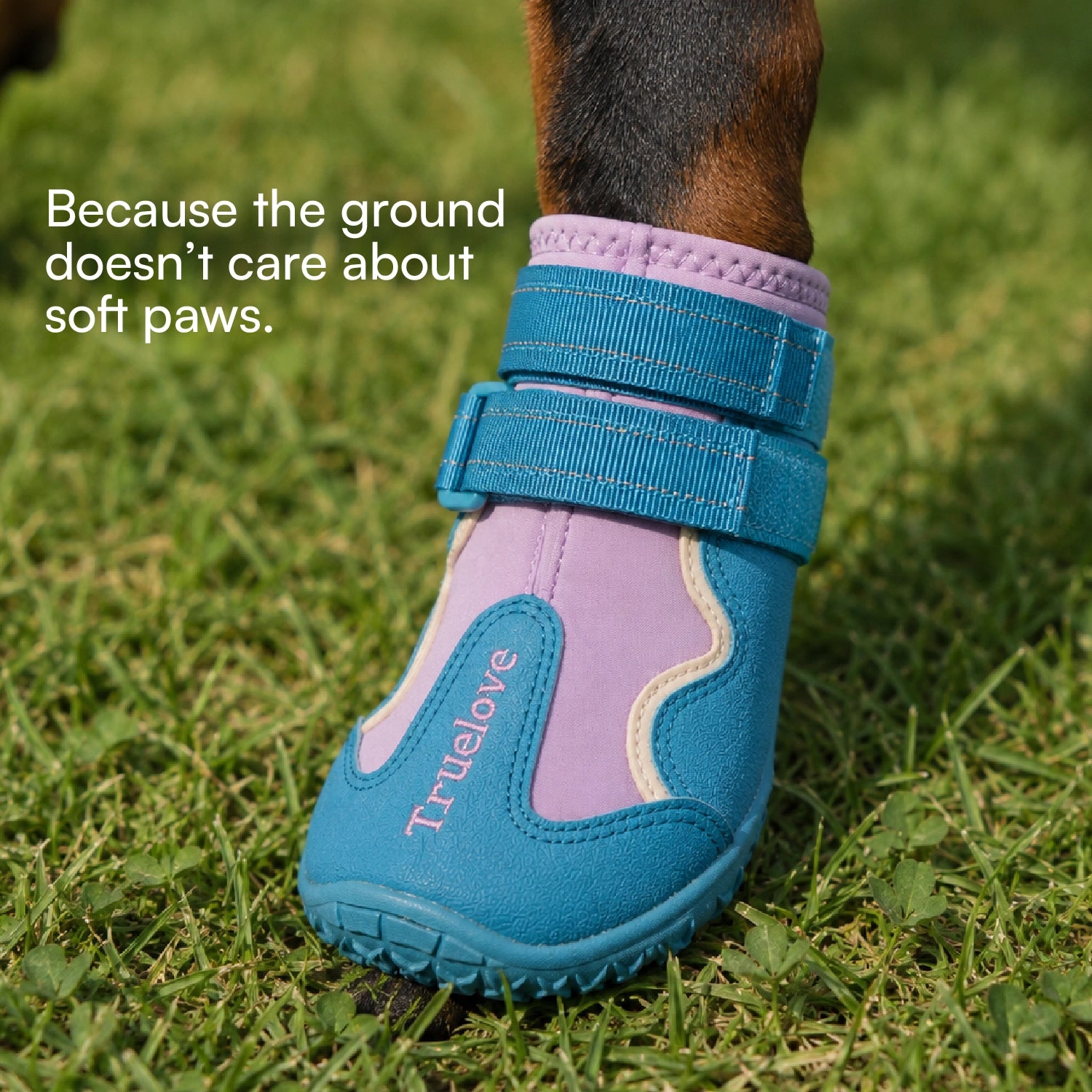 TerraGuard Boots | All-Weather Paw Protection | Secure Fit for Active Dogs