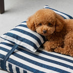 Cabana Dream Bed