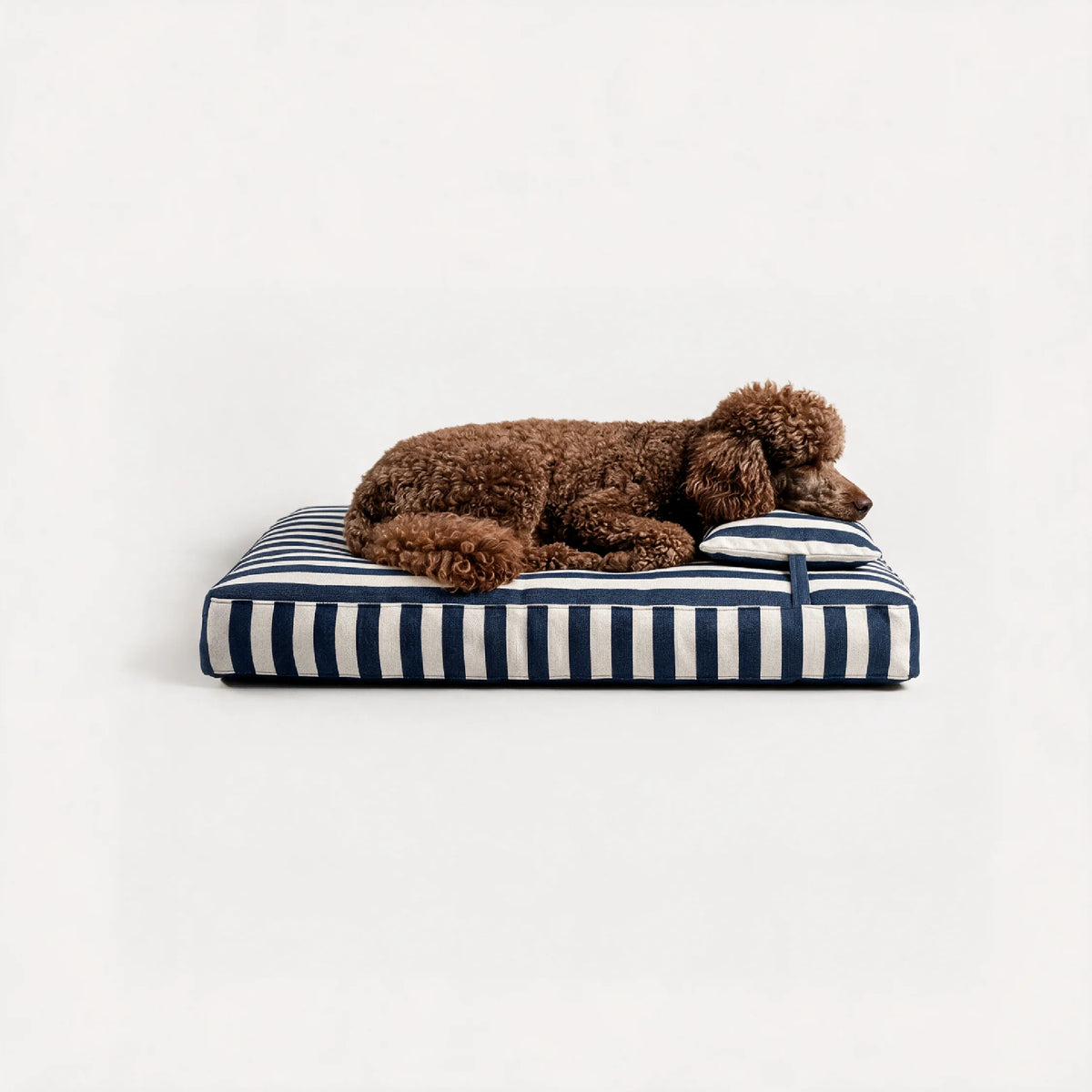 Cabana Dream Bed