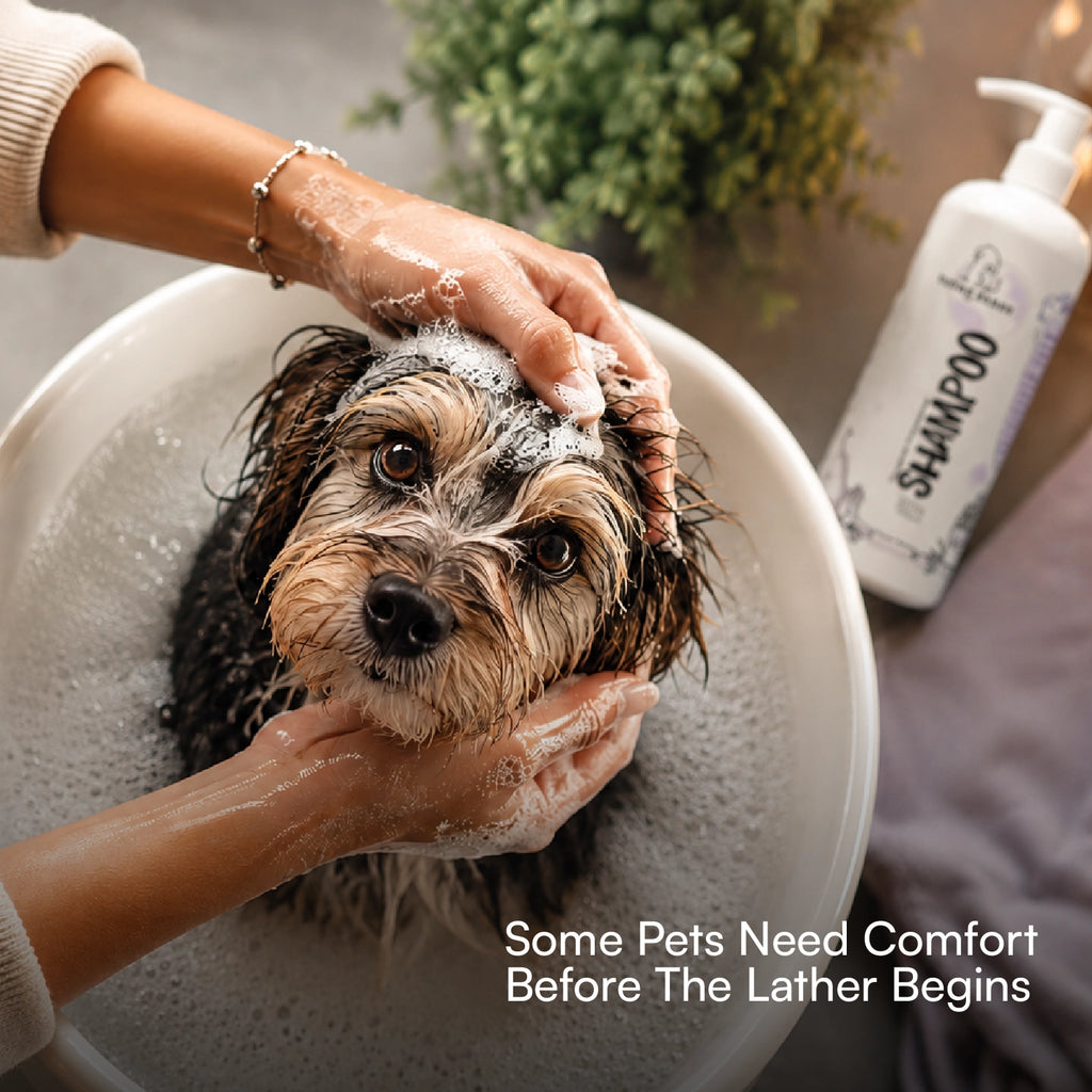 Therapeutic Aromatherapy Dog & Cat Shampoo - Tilting Heads