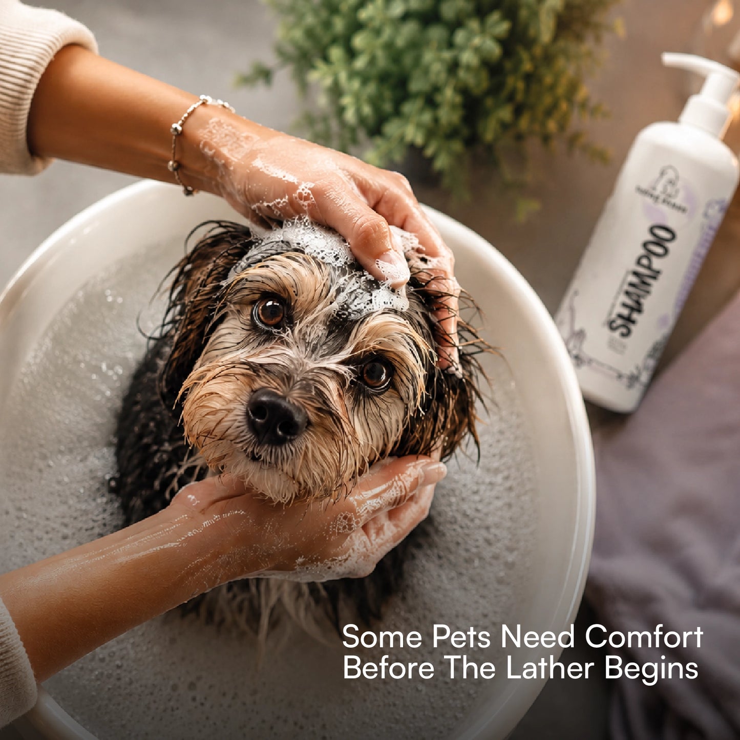 Therapeutic Aromatherapy Dog & Cat Shampoo - Tilting Heads