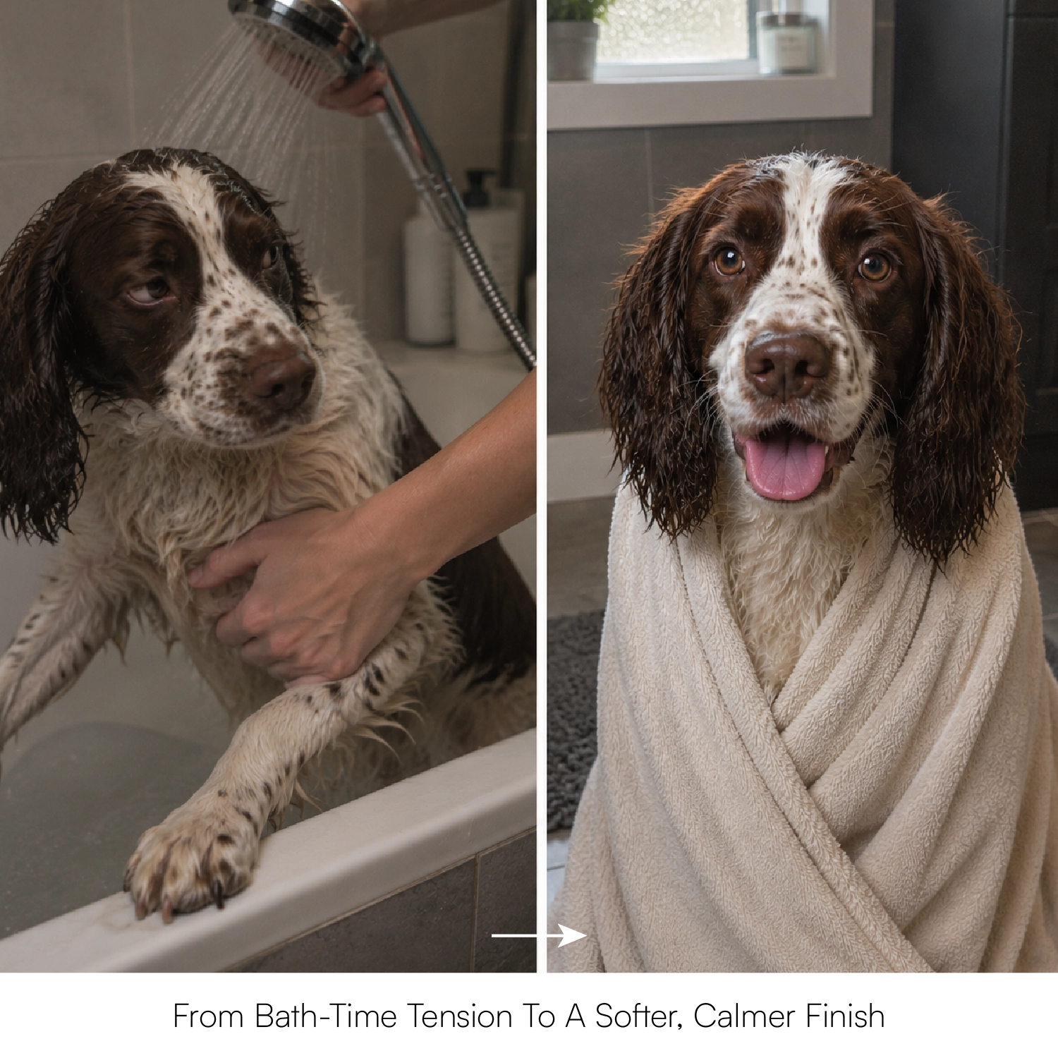 Therapeutic Aromatherapy Dog & Cat Shampoo - Tilting Heads