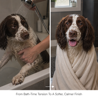 Therapeutic Aromatherapy Dog & Cat Shampoo - Tilting Heads