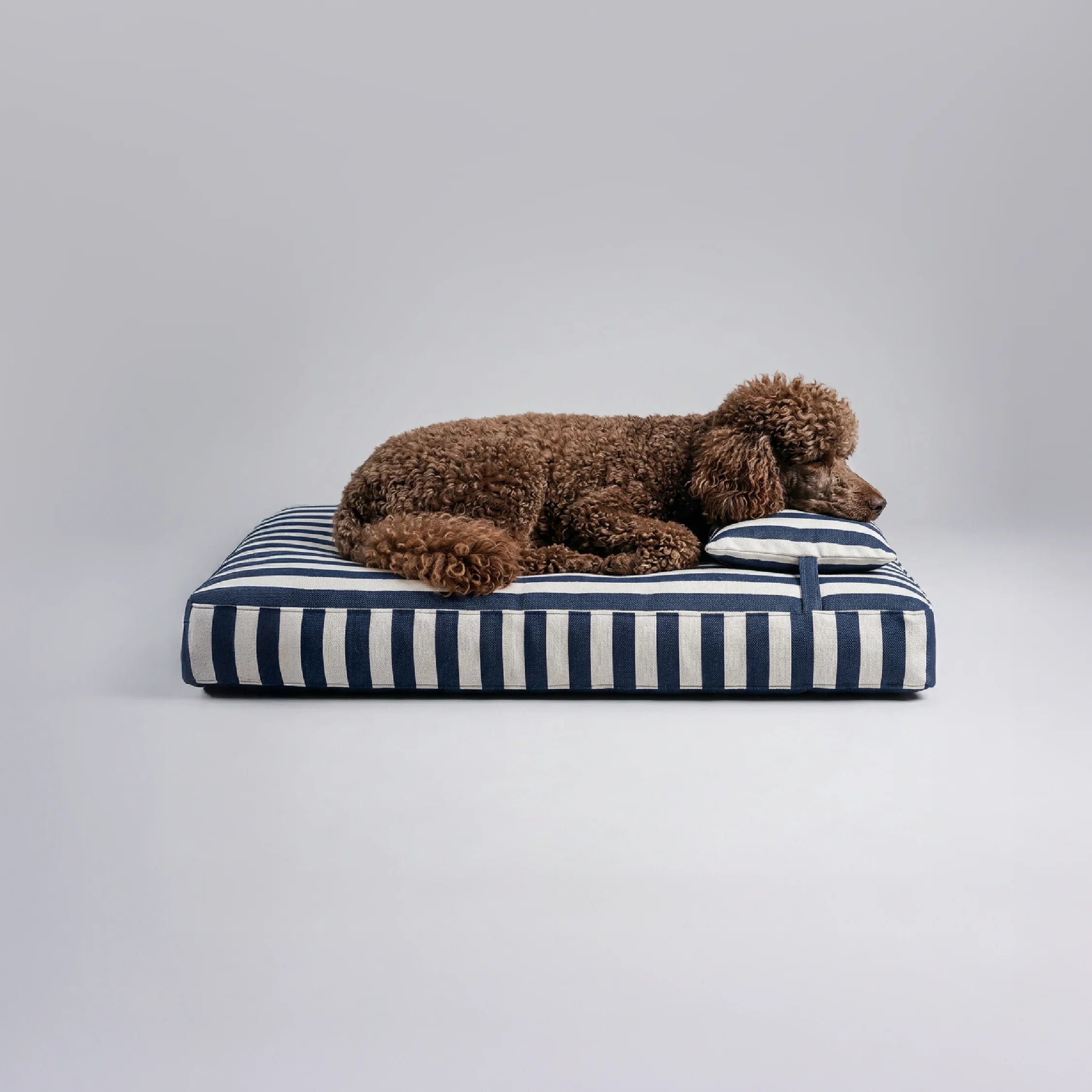 Cabana Dream Bed
