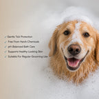 Tick & Flea Dog & Cat Shampoo - Tilting Heads