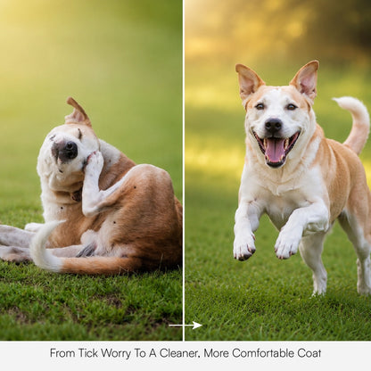 Tick & Flea Dog & Cat Shampoo - Tilting Heads