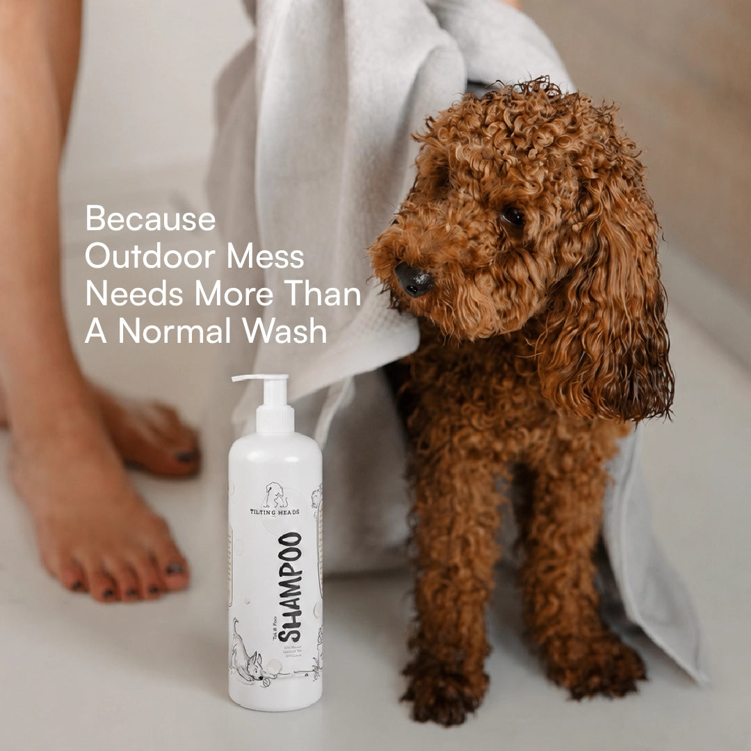 Tick & Flea Dog & Cat Shampoo - Tilting Heads