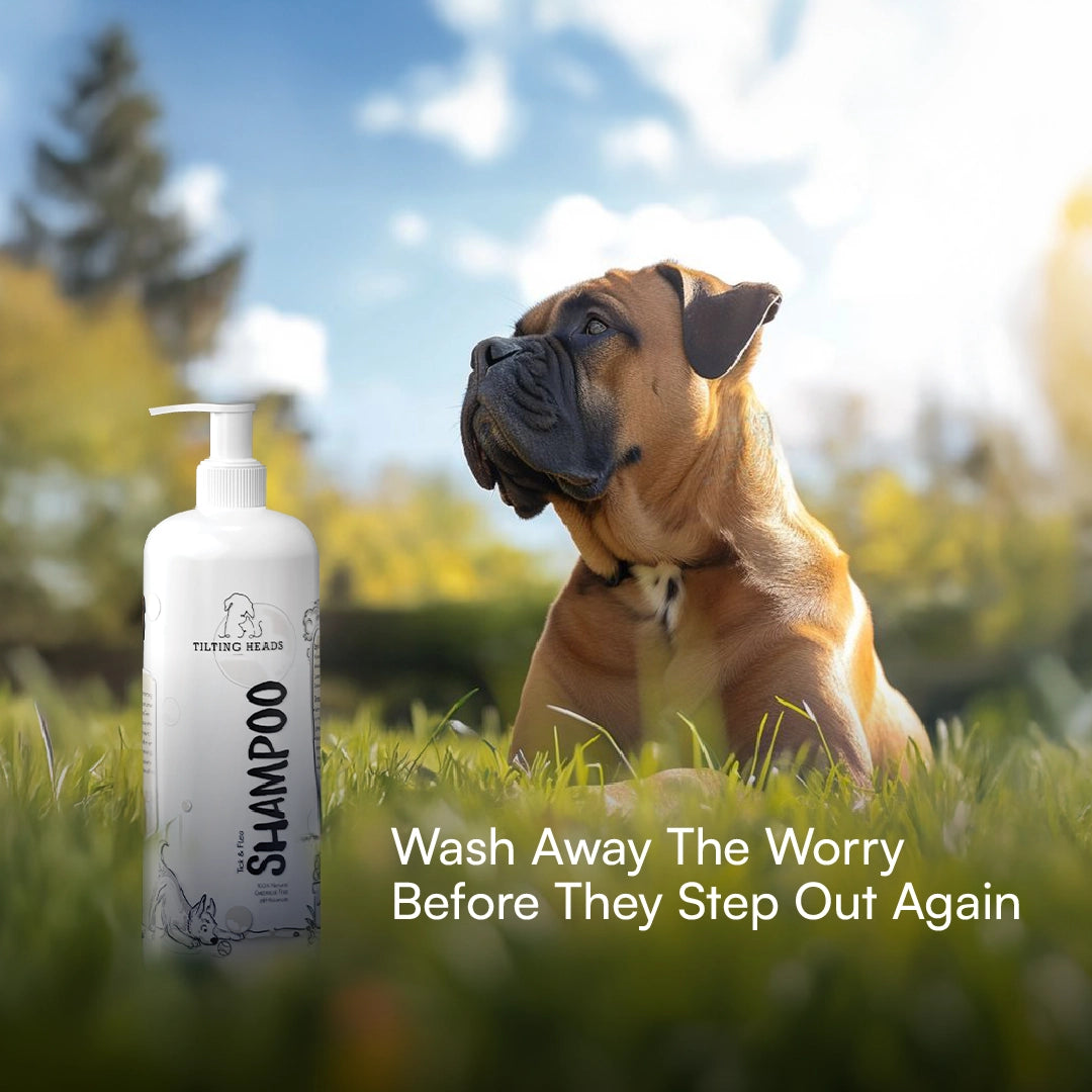 Tick & Flea Dog & Cat Shampoo - Tilting Heads