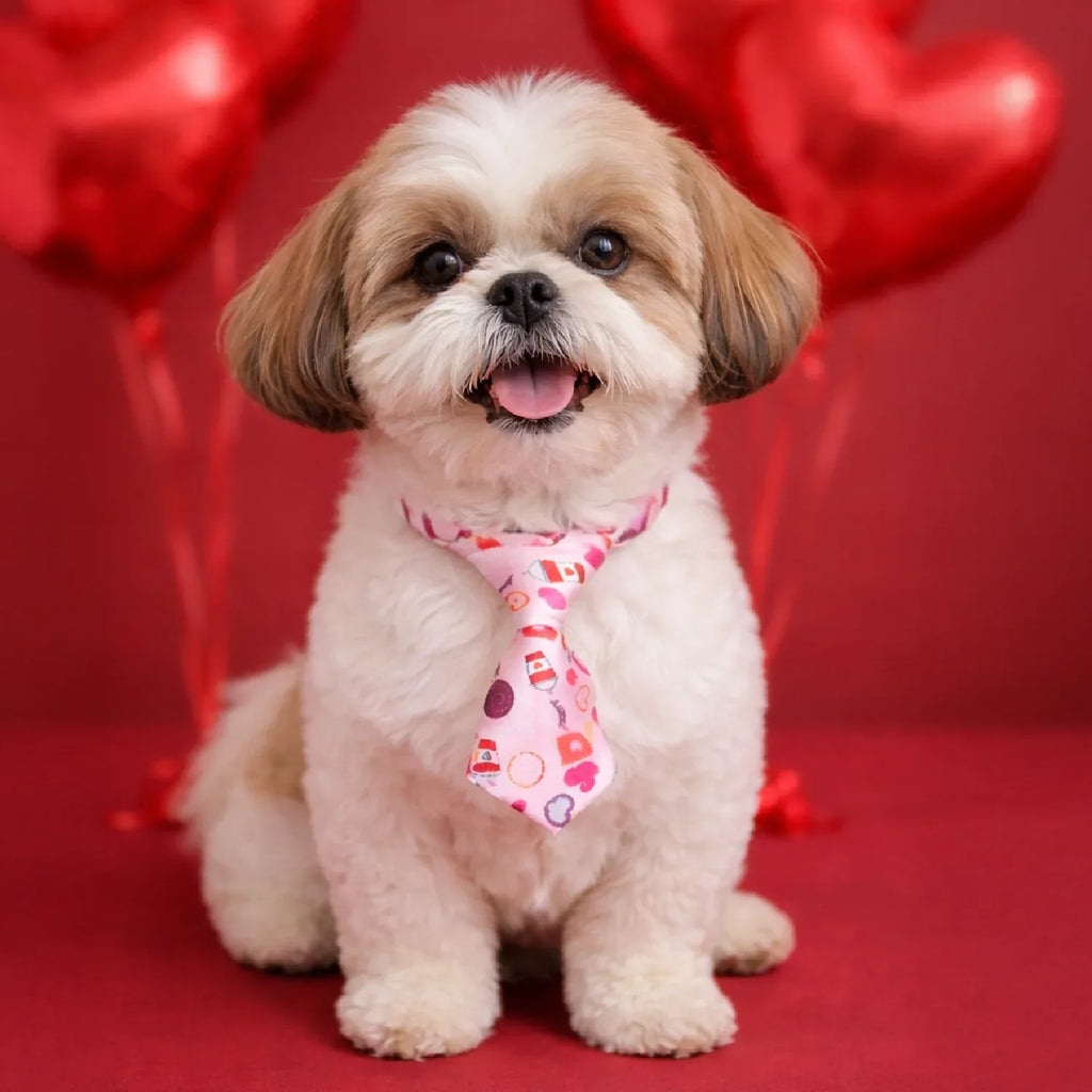 Heart Pop Tie – Pack of 8 Stylish Ties for Dogs & Cats