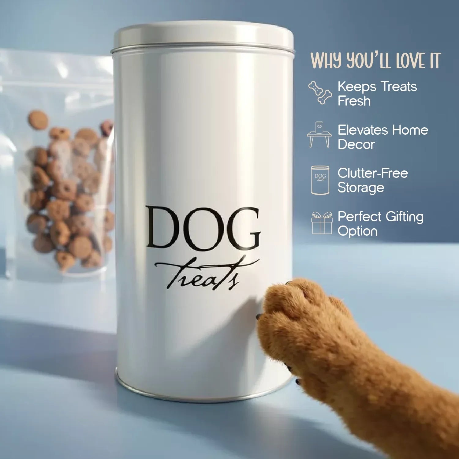Goodies Container – Stylish Storage Jar for Pet Treats - Tilting Heads