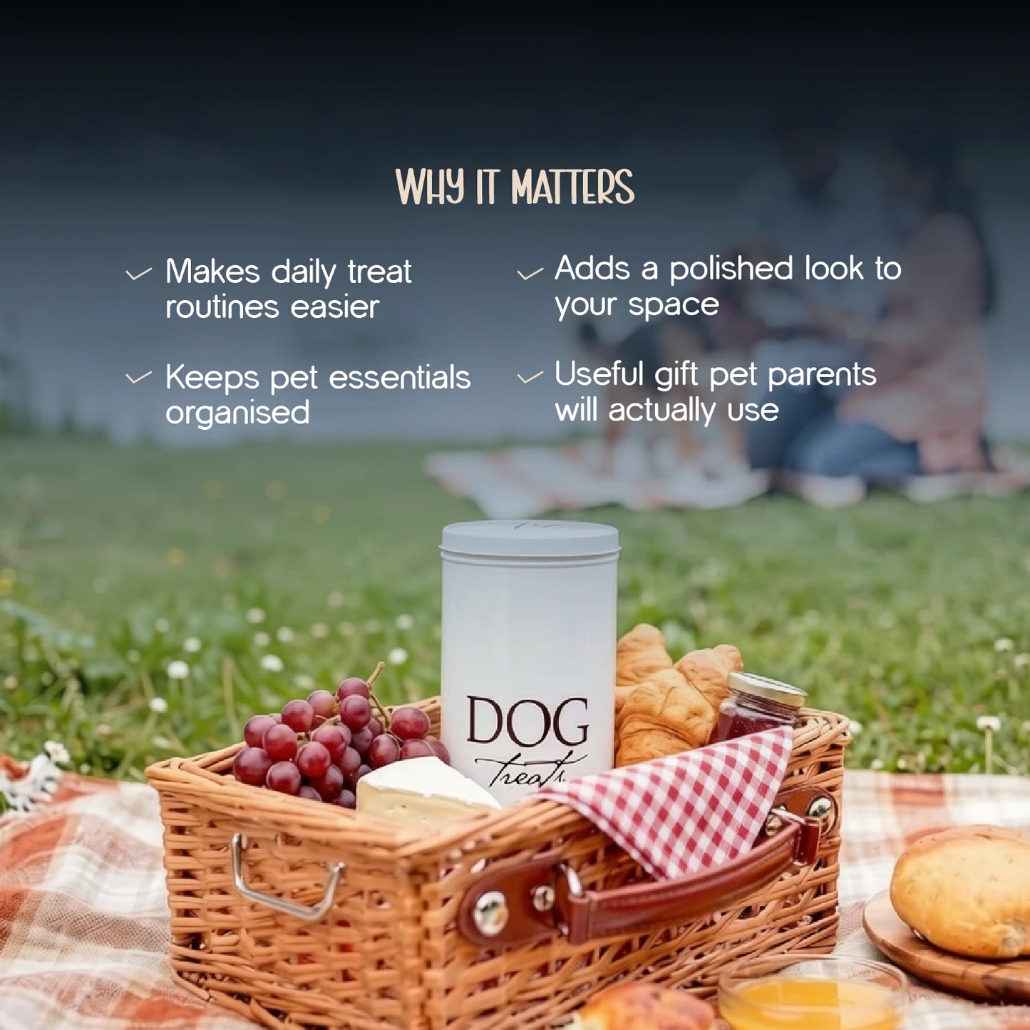 Goodies Container – Stylish Storage Jar for Pet Treats