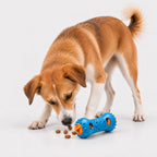 TreatRoll Toy