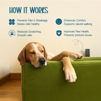Trimzy Nail Cutter & Filer for Pets - Tilting Heads