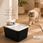 TrunkFlow Fountain | Smart Rechargeable Cat Fountain