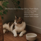 TrunkFlow Fountain | Smart Rechargeable Cat Fountain