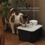 TrunkFlow Fountain | Smart Rechargeable Cat Fountain
