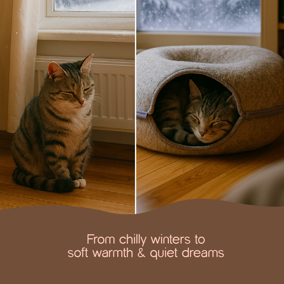 CurlCove Tunnel Bed | Warm, Cozy & Playful Hideout for Cats