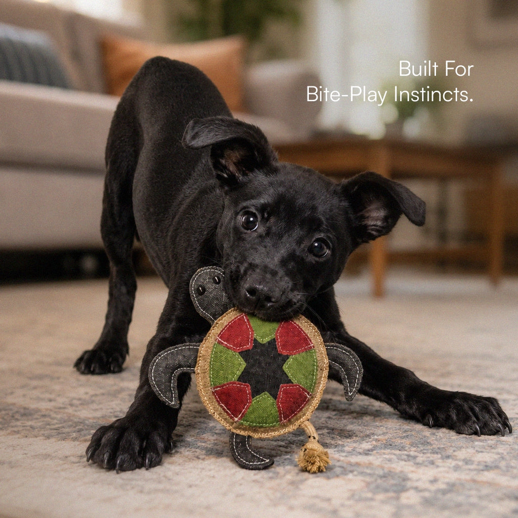 TurtleChew Toy Organic Jute Chew & Tug Toy For Dogs & Cats