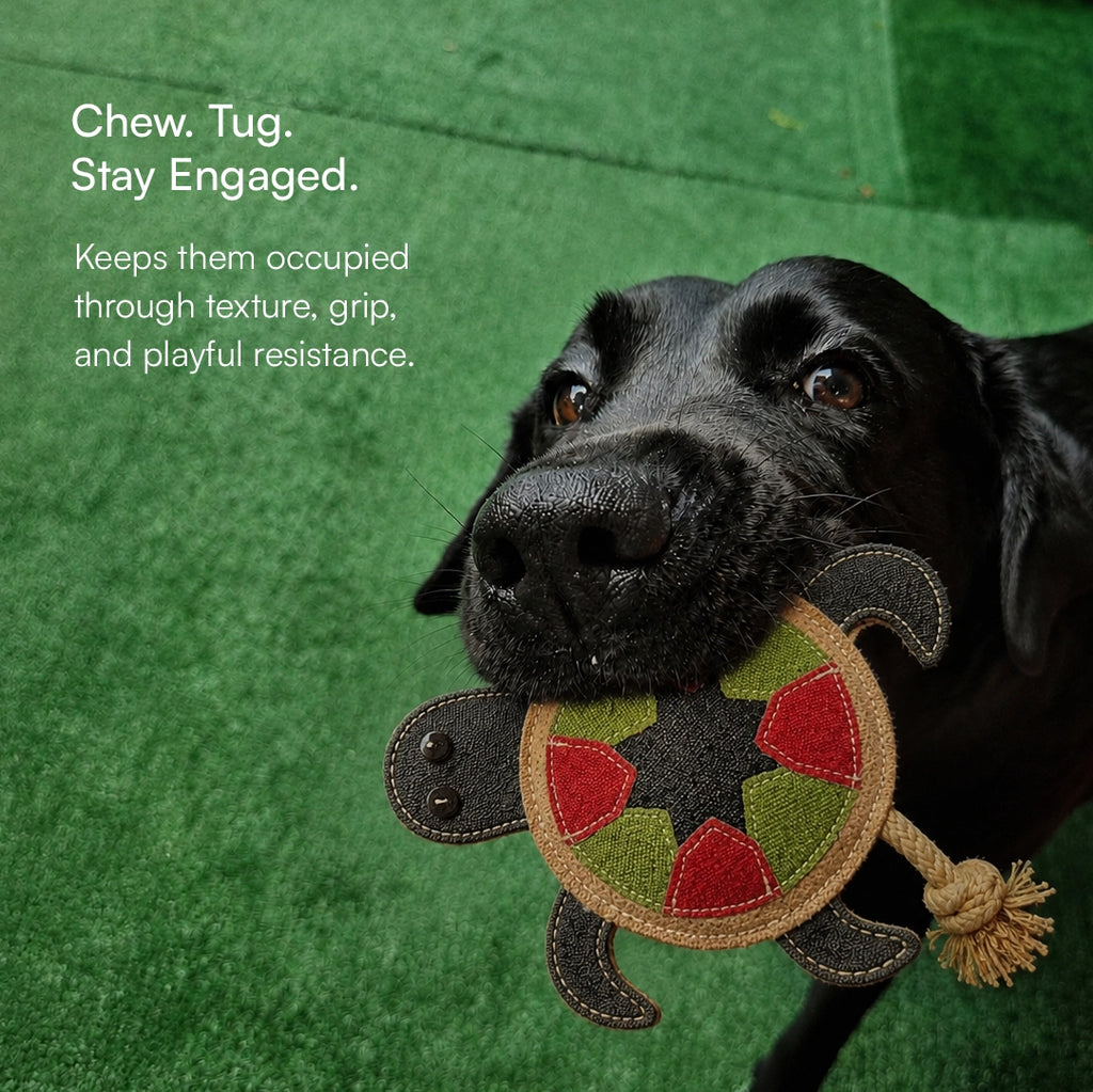 TurtleChew Toy Organic Jute Chew & Tug Toy For Dogs & Cats