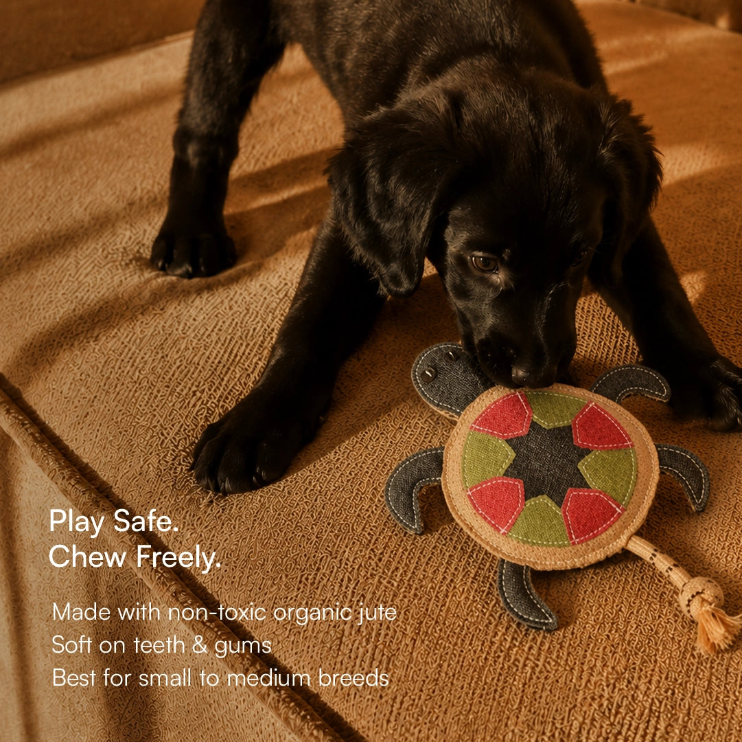 TurtleChew Toy Organic Jute Chew & Tug Toy For Dogs & Cats