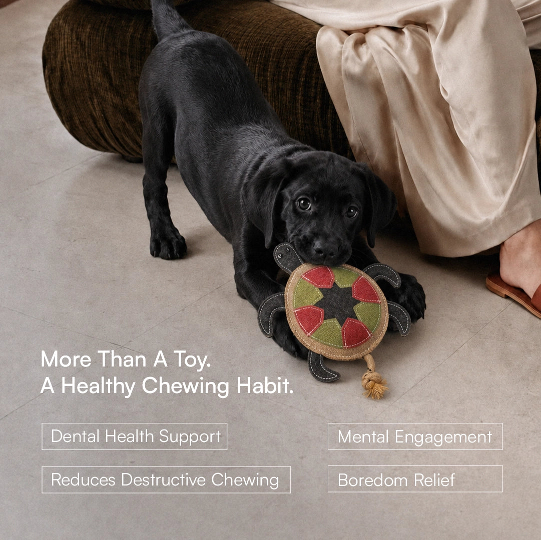 TurtleChew Toy Organic Jute Chew & Tug Toy For Dogs & Cats