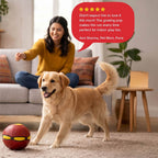FetchNova UFO Ball | Bounce-Spin Toy | Smart Play for Active Dogs