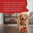 FetchNova UFO Ball | Bounce-Spin Toy | Smart Play for Active Dogs