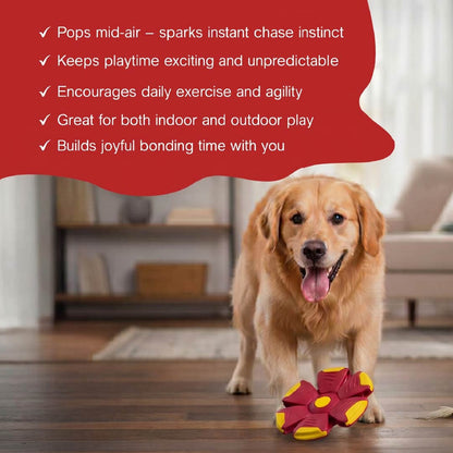 FetchNova UFO Ball | Bounce-Spin Toy | Smart Play for Active Dogs