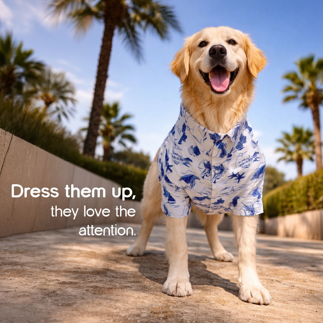Vacay Shirt – Stylish Cotton Blend Summer Shirt for Dogs