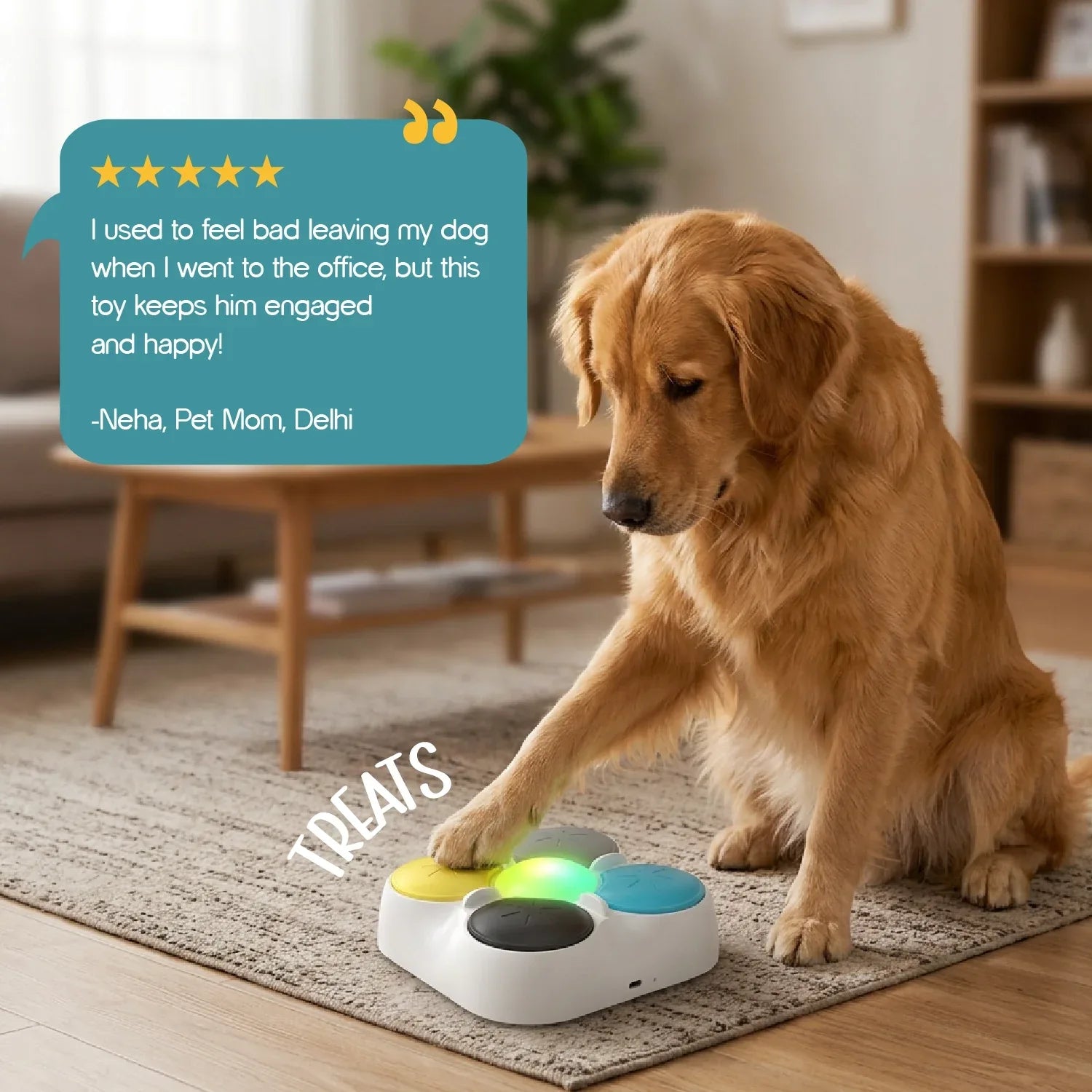 VoiceBond Toy – Interactive Recordable Voice Toy for Pets