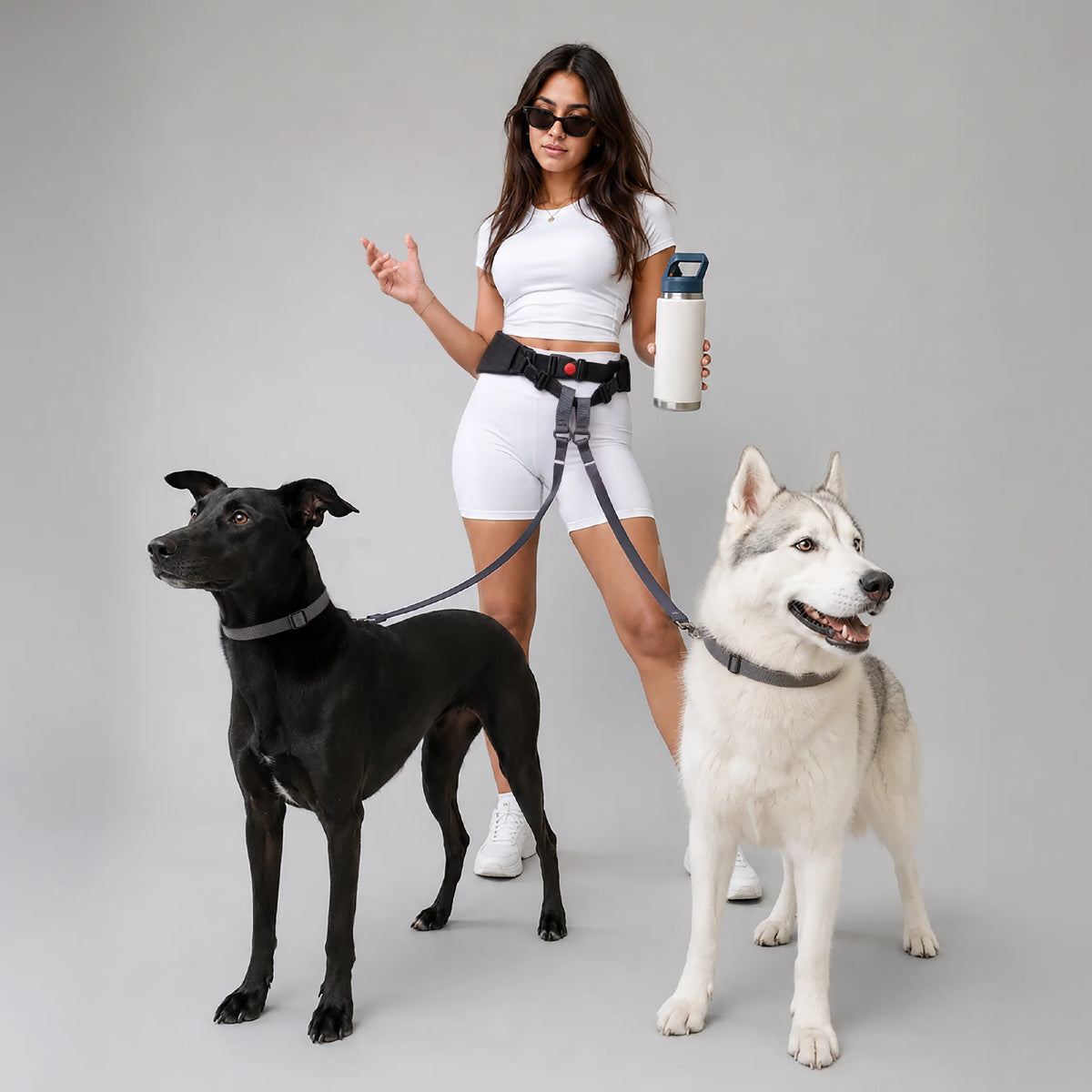Hands-Free Dog Belt