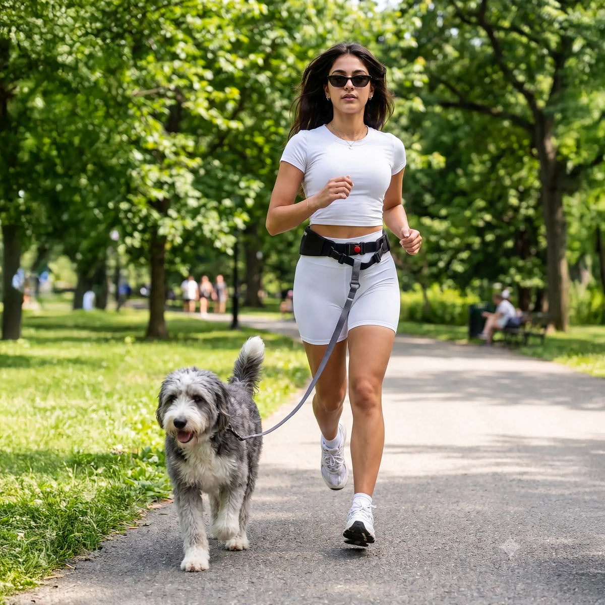 Person walking a dog wearing a black hands-free waist belt