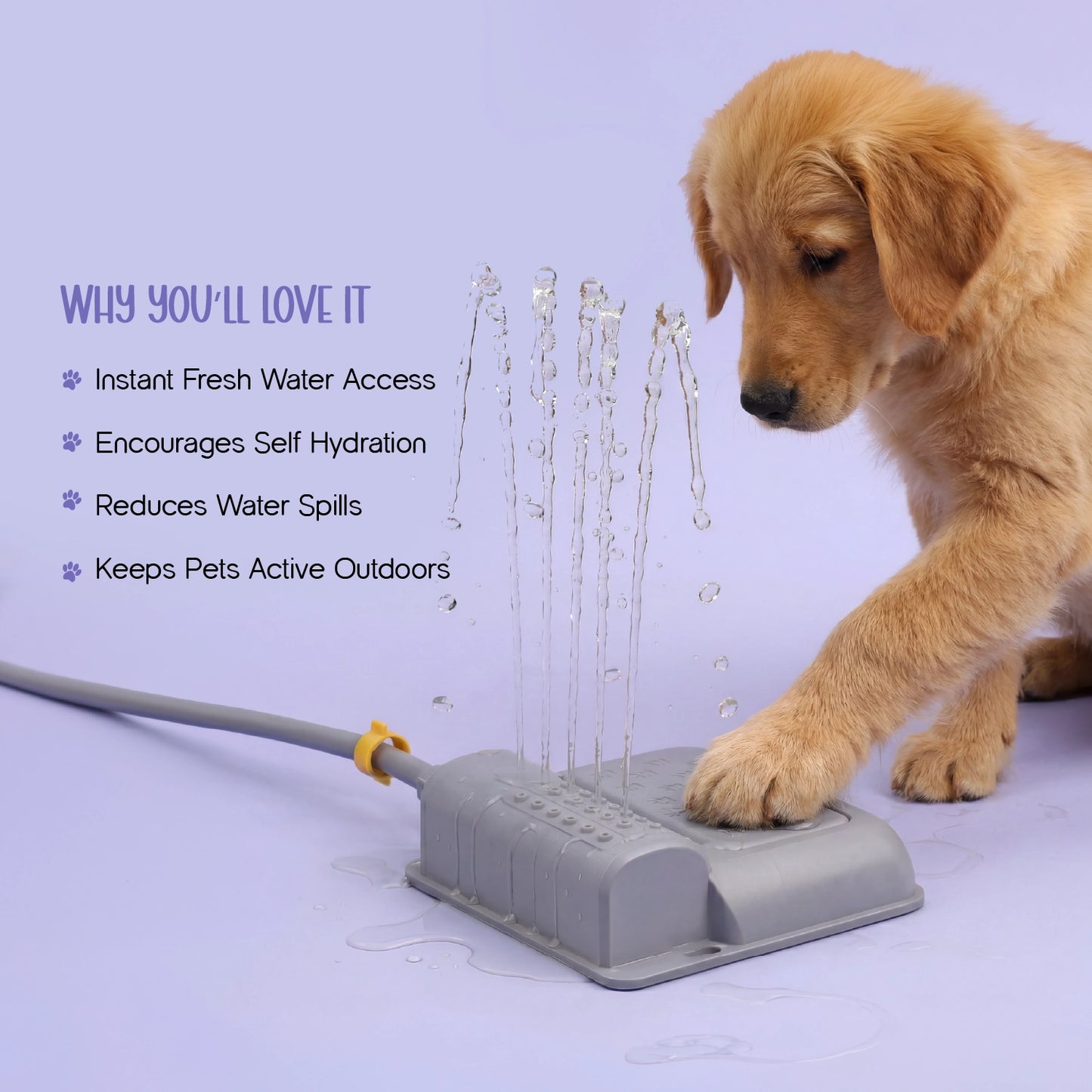 Splash Spring Fountain – Paw-Activated Outdoor Dog Water Fountain | Step-On Dog Water Dispenser with Hose Connection for Yard & Garden