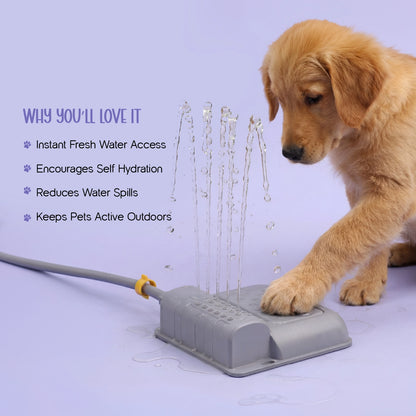Splash Spring Fountain – Paw-Activated Outdoor Dog Water Fountain | Step-On Dog Water Dispenser with Hose Connection for Yard & Garden